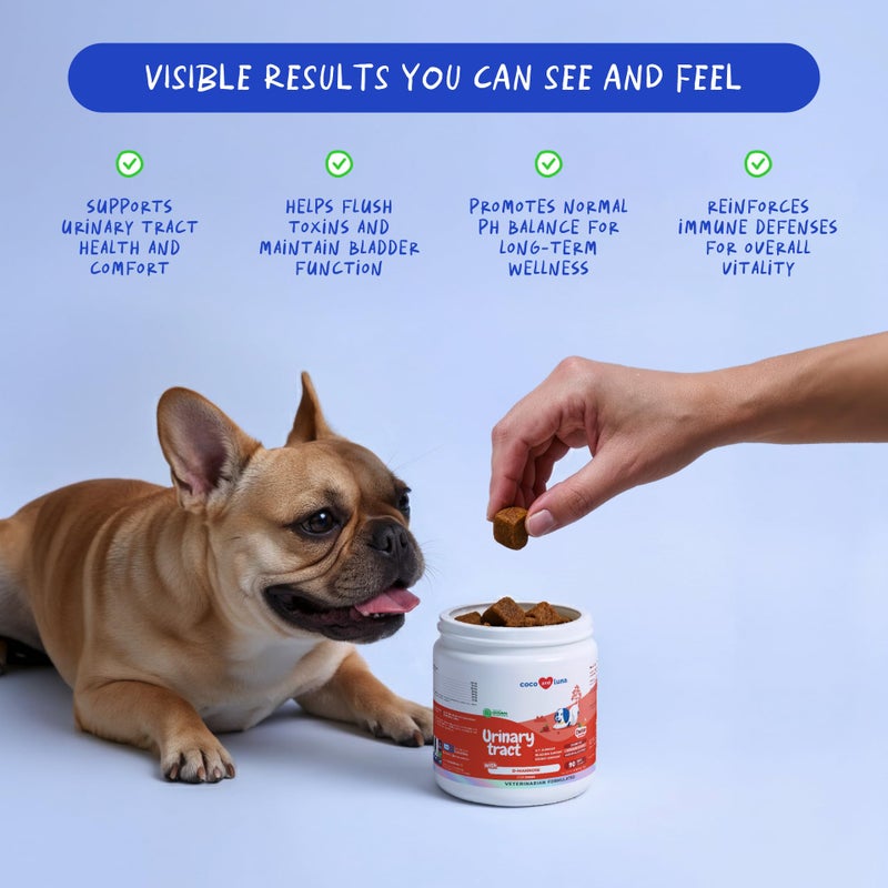 Coco and Luna Cranberry for Dogs - 90 Soft Chews - Urinary Tract Support, Bladder Health, Dog UTI, Bladder Stones, Incontinence Support (Soft Chews) - Image 3