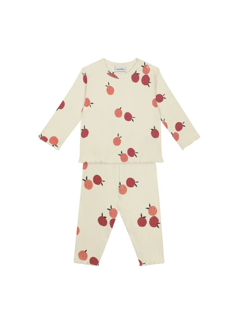 Antebies Apple Love Set