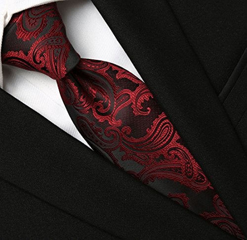 KissTies Mens Burgundy Red Tie Paisley Necktie + Gift Box - Image 2