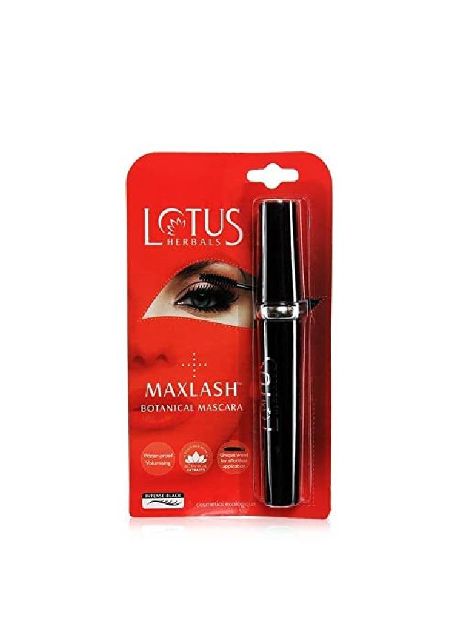 LOTUS HERBALS Maxlash Botanical Mascara 4G  - Image 3