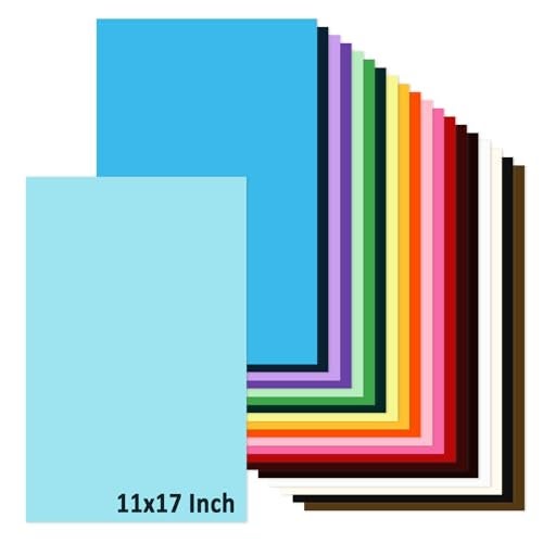 LIVHOLIC 11x17 Large Cardstock A3 Color Paper Colored Card Stock 60 Sheets MultiColor Poster Sheets 20 Colors 80lb Thick Printer Paper Display Board for Art and Crafts Exhibits - Image 1