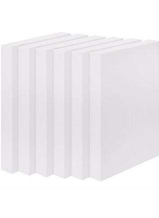 Craft Foam Block - Rectangular Polystyrene Foam Sheet for Modelling, School Projects, Textbooks, Sculptures and Floral Arrangements, Pack of 6 (Size- 30 x 15 x 2 cm) - pzsku/Z5FF79EA155AB35F16473Z/45/_/1705578349/ed2d8a9e-cba6-40c2-b1d6-d791edbc6f9f