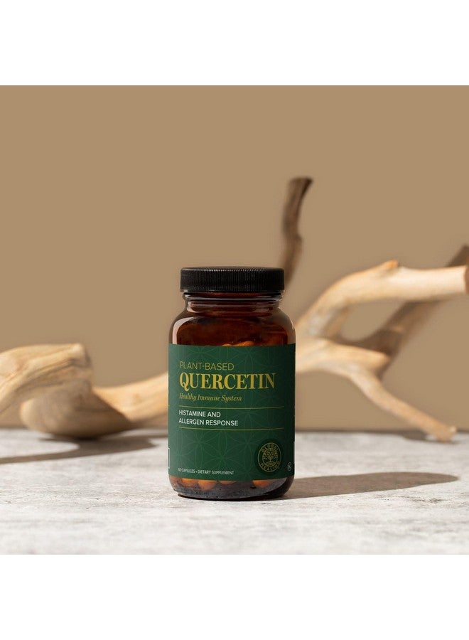 جلوبال هيلنغ سنتر مركز الشفاء العالمي كيرسيتين (عبوة من قطعتين) ٥٠٠ ملغ إجمالي، ٢٥٠ ملغ لكل منهما، يدعم وظيفة الجهاز المناعي والاستجابة الطبيعية للجسم للحساسية العرضية - كيرسيتين بدون بروميلين وزنك - ٦٠ كبسولة - Image 3