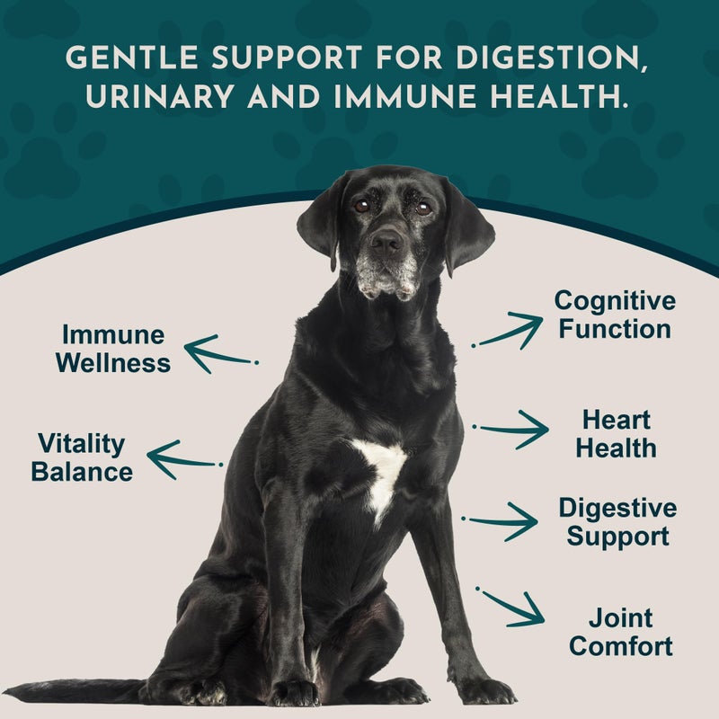 Animal Essentials مكمل دعم الحيوانات الأليفة لكبار السن للكلاب والقطط - شوك الحليب، للقطط والكلاب القديمة، دعم الكلى للحيوانات الأليفة، مكمل عشبي - 2 أونصة سائلة - Image 3