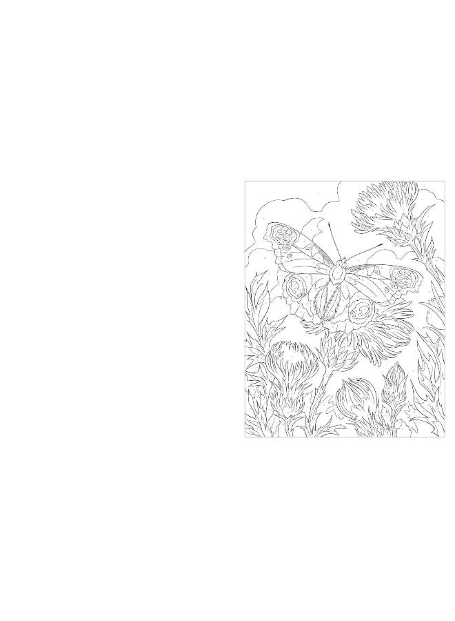 Arcturus Birds & Butterflies Colour by Numbers  - Image 4
