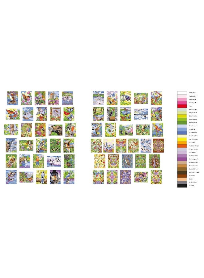 Arcturus Birds & Butterflies Colour by Numbers  - Image 3