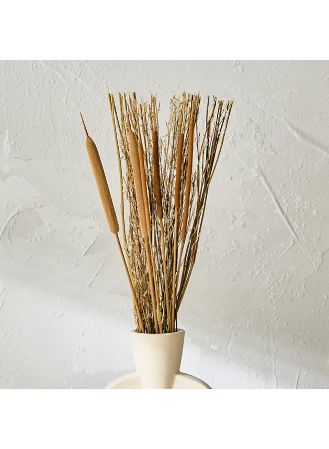 Home Box Medley Dried Grass Bunch in Paper Tray 1 x 60 x 1 cm  - Image 2