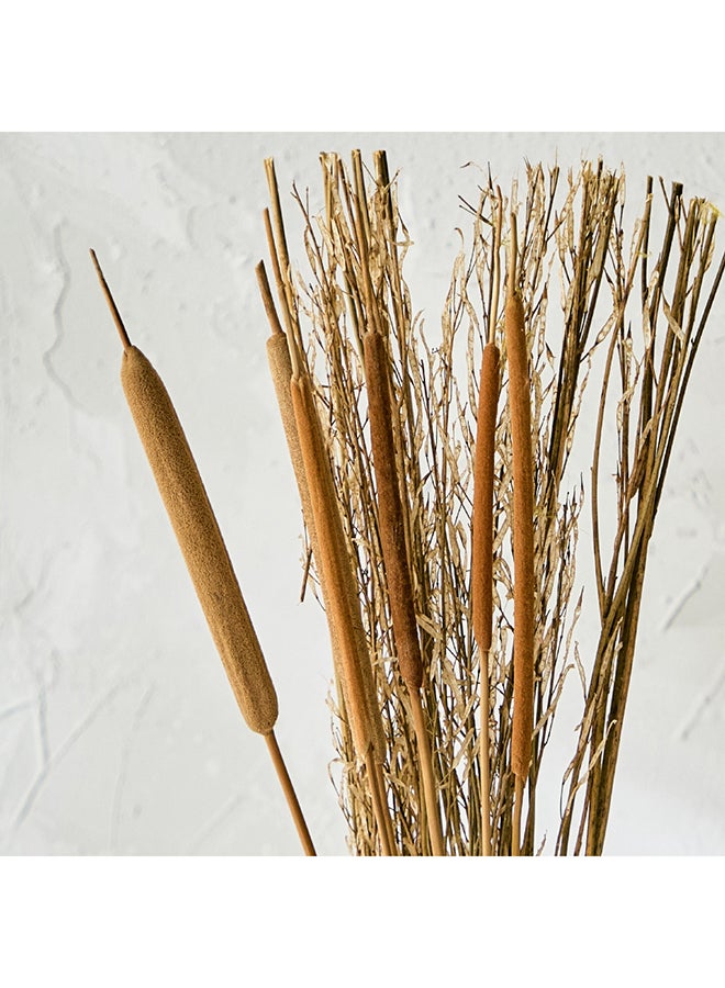 Home Box Medley Dried Grass Bunch in Paper Tray 1 x 60 x 1 cm  - Image 3