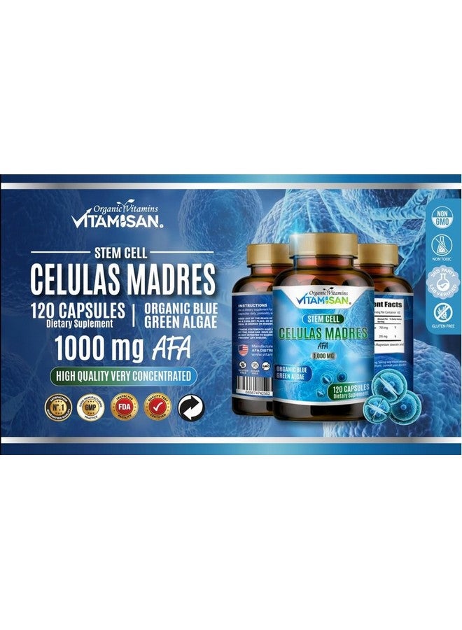 VITAMISAN Celulas madres 4 Bottles, 1000mg Stem Cell Plus, 480 Capsules Non-GMO, Gluten-Free - Image 3