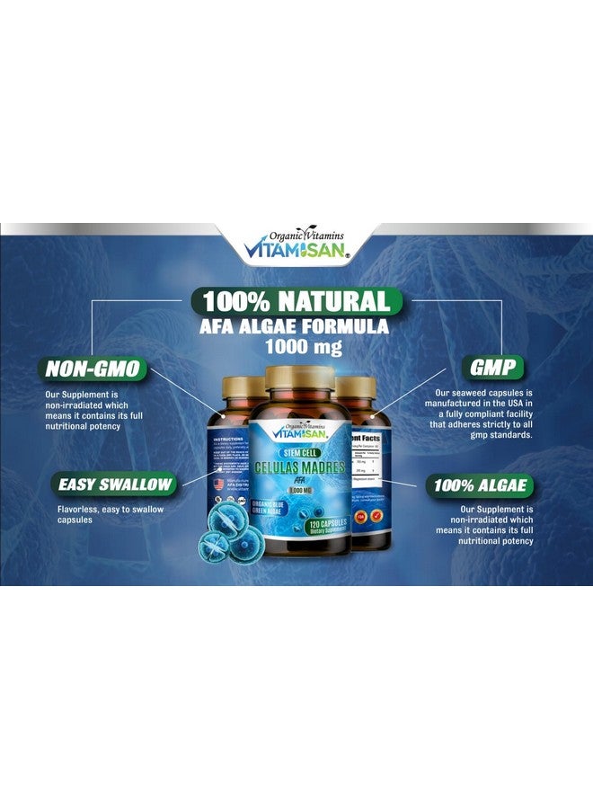 VITAMISAN Celulas madres 4 Bottles, 1000mg Stem Cell Plus, 480 Capsules Non-GMO, Gluten-Free - Image 2