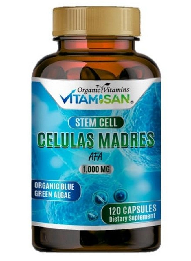 VITAMISAN Celulas madres 4 Bottles, 1000mg Stem Cell Plus, 480 Capsules Non-GMO, Gluten-Free - Image 5