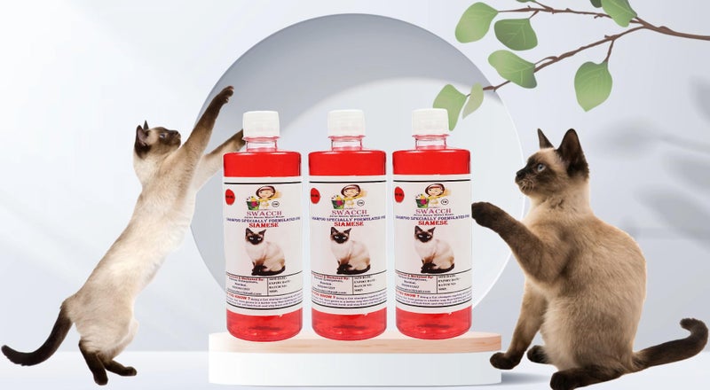 SWACCH Shampoo Specially FORMULATED for Siamese (500ML) (Pack of 3) Strawberry - Image 2