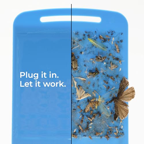 Wondercide - Flying Insect and Fly Trap - Indoor Bug Catcher for Fruit and House Flies, Gnats, Moths, and Mosquitoes - Starter Kit for Home and Kitchen - 1 Plug-in Light and 1 Cartridge - Image 4