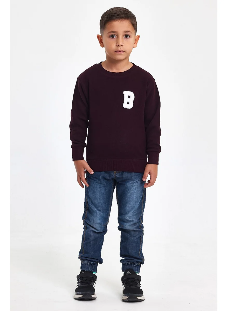 Mrs & Kids 3D Embroidered Plum Wool and Cotton Winter Crew Neck Children's Men's Sweatshirt