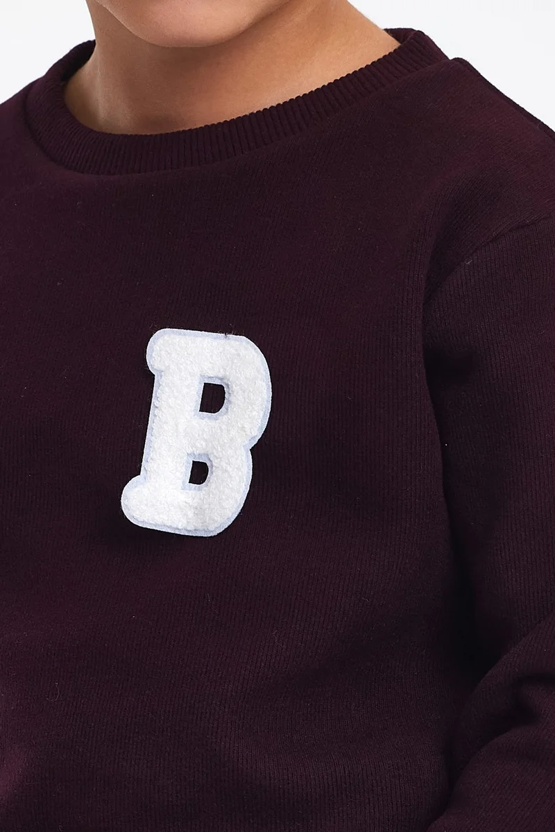 Mrs & Kids 3D Embroidered Plum Wool and Cotton Winter Crew Neck Children's Men's Sweatshirt