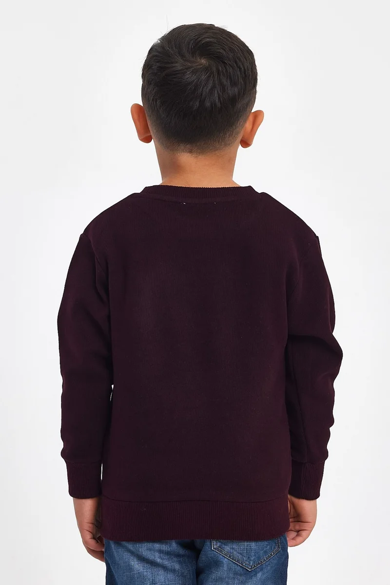Mrs & Kids 3D Embroidered Plum Wool and Cotton Winter Crew Neck Children's Men's Sweatshirt