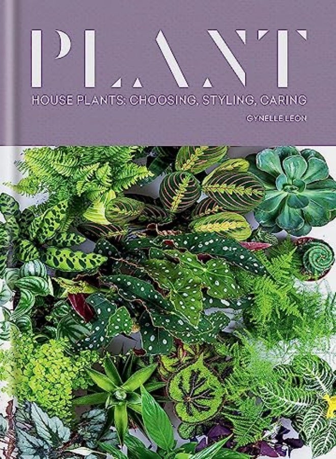 Plant: House plants: choosing, styling, caring