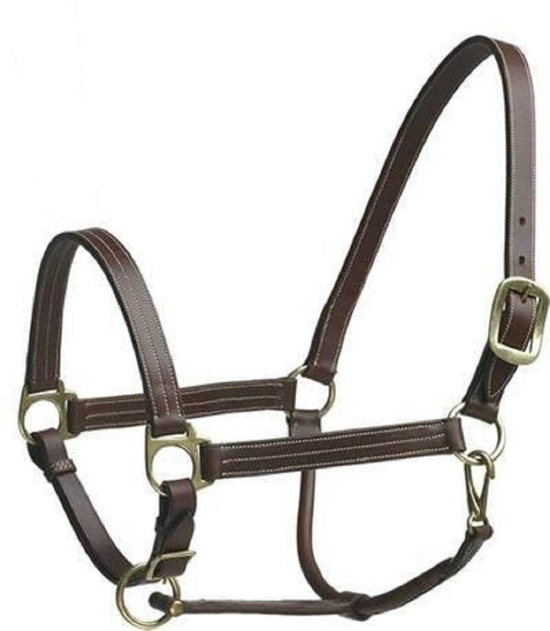 Camelot Leather Stable Halter Color Brown Size Pony 464282BRNPONY - Image 3