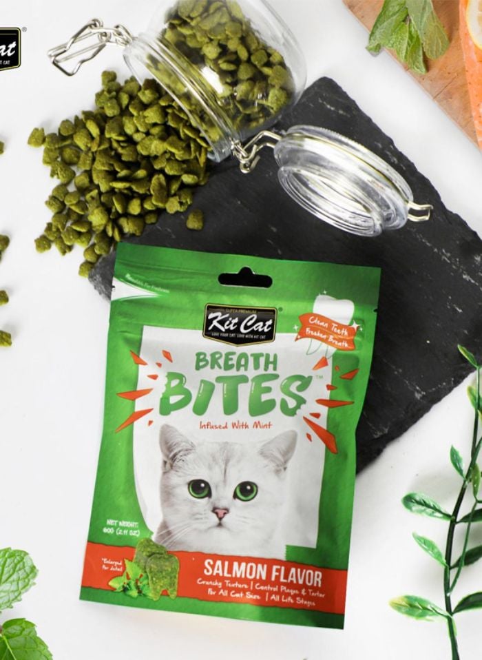 Kit Cat Breath Bites Salmon Flavor 60g - Image 2