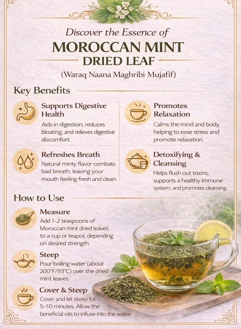 زهر أوراق النعناع المجففة المغربية (ورق نانا مغربي مجفف) – Mentha Spicata | أوراق النعناع الكاملة الطبيعية الفاخرة | نقي 100% للاستخدام في أعمال البستنة والبستنة والاستخدامات النباتية والأعشاب - Image 4