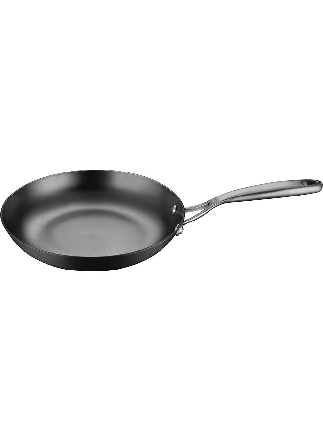 Stahl مقلاة ستال من الحديد الزهر بلاك سميث بلس، قاعدة غاز وتحريض، 7424، 1.4 لتر، 24 سم (تكفي لشخصين) - Image 1