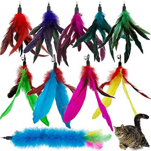 CATENESS Cat Feather Toys Refills 10 Pieces Cat Wand Replacement Feathers Toy for Indoor Cats - Image 1
