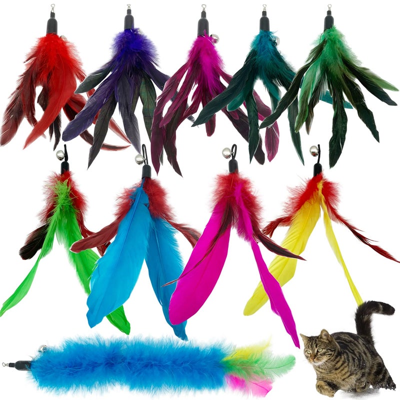 CATENESS Cat Feather Toys Refills 10 Pieces Cat Wand Replacement Feathers Toy for Indoor Cats - Image 2