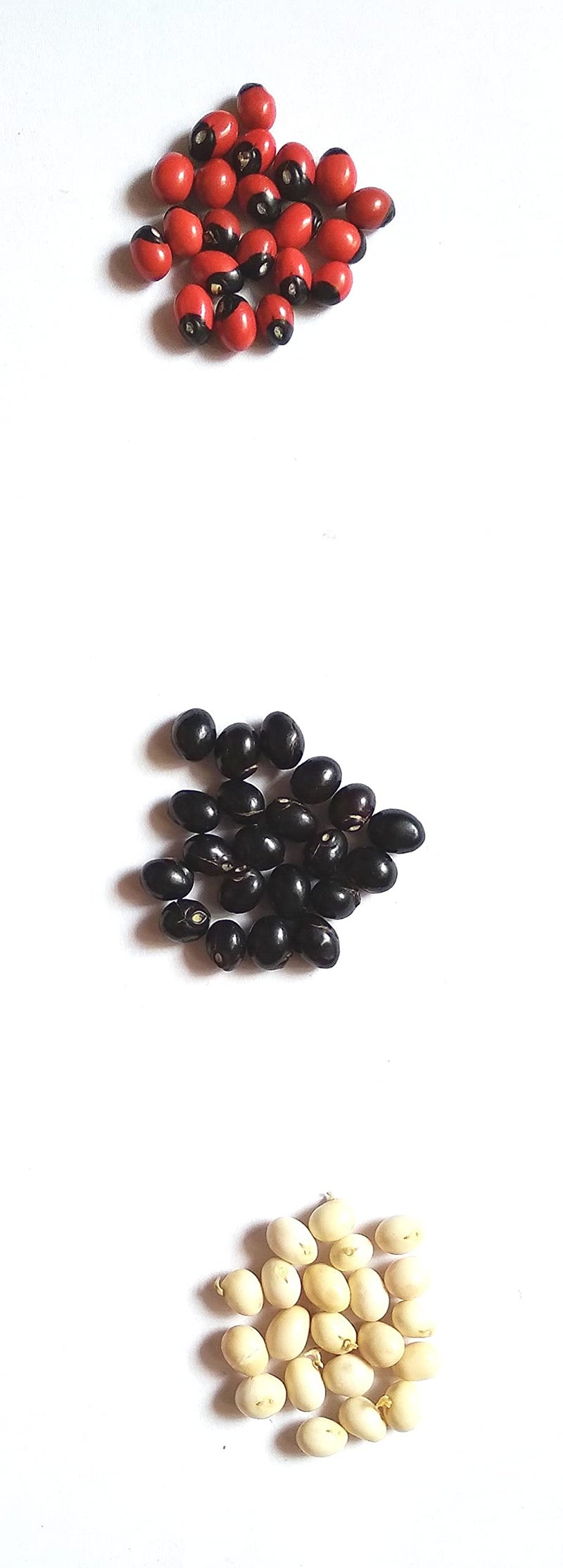 Vinarghya - Gunja Combo (White,Black, Red) / Abrus Precatorius/Rakta Gunja/Gumachi/Chirmi Beads/Gurinvida/Ratti Seeds / गूंज – 21PCS of each - Image 2