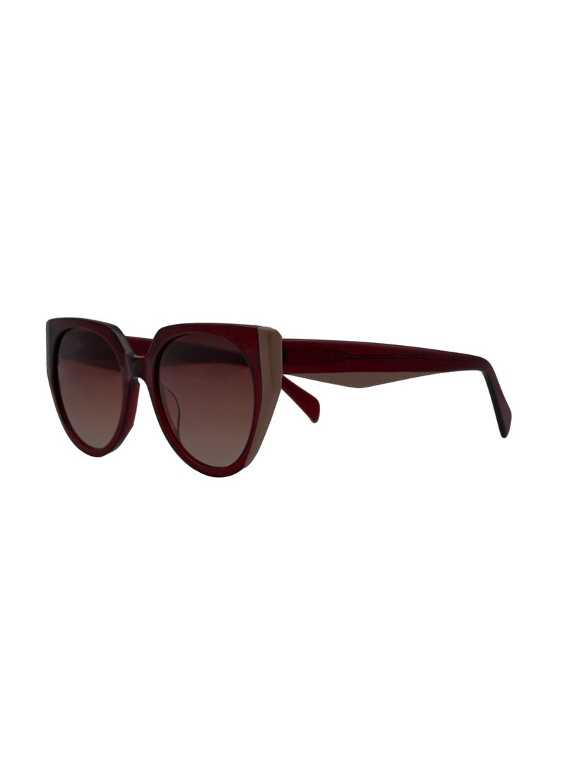 DLS Sunglasses for men and women - Cat Eye Acetate Frame with UV protacted lenses multipurpose use (MS7012-C4) - Image 1