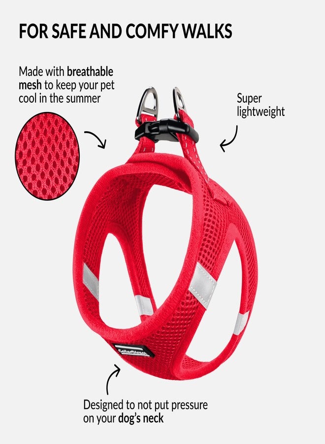 CollarDirect Step-in Reflective Dog Harness - Any Weather Air Mesh for Small and Medium Dogs Easy to Put On and Off (Size S, Red) - Image 2