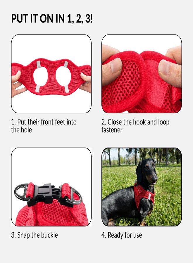 CollarDirect Step-in Reflective Dog Harness - Any Weather Air Mesh for Small and Medium Dogs Easy to Put On and Off (Size S, Red) - Image 4