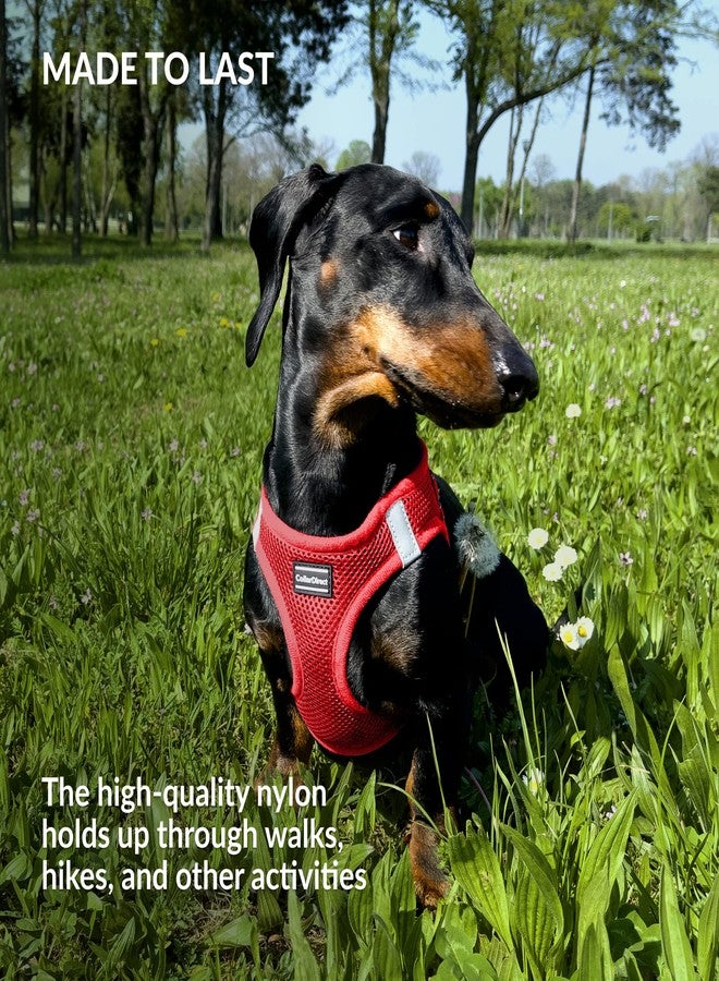 CollarDirect Step-in Reflective Dog Harness - Any Weather Air Mesh for Small and Medium Dogs Easy to Put On and Off (Size S, Red) - Image 5