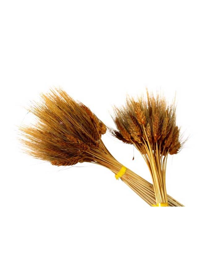 Generic Dried Wheat Flowers Sheaves Grass Bouquet (Orrange, 40Pieces)  - Image 1