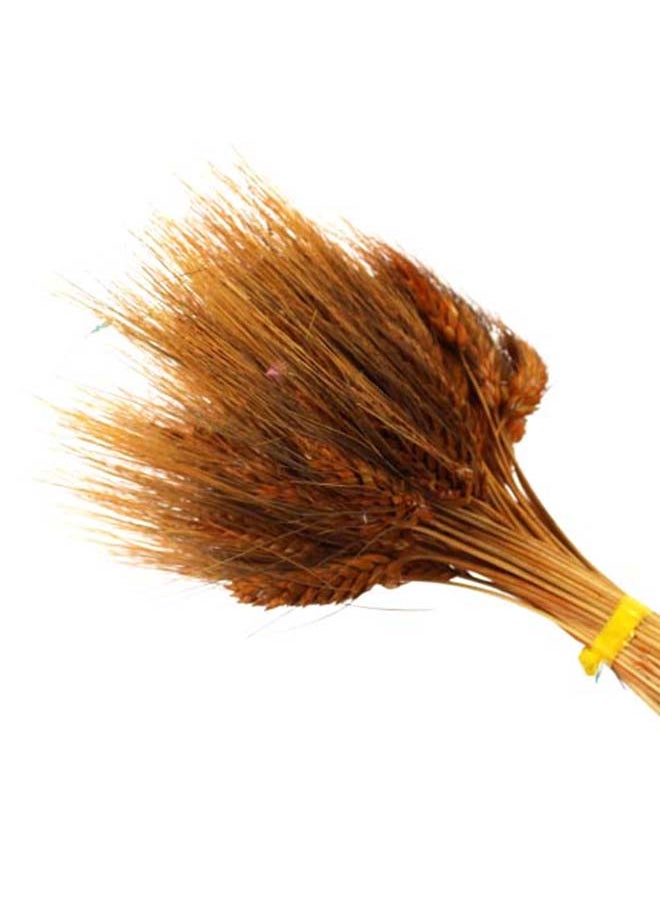 Generic Dried Wheat Flowers Sheaves Grass Bouquet (Orrange, 40Pieces)  - Image 2