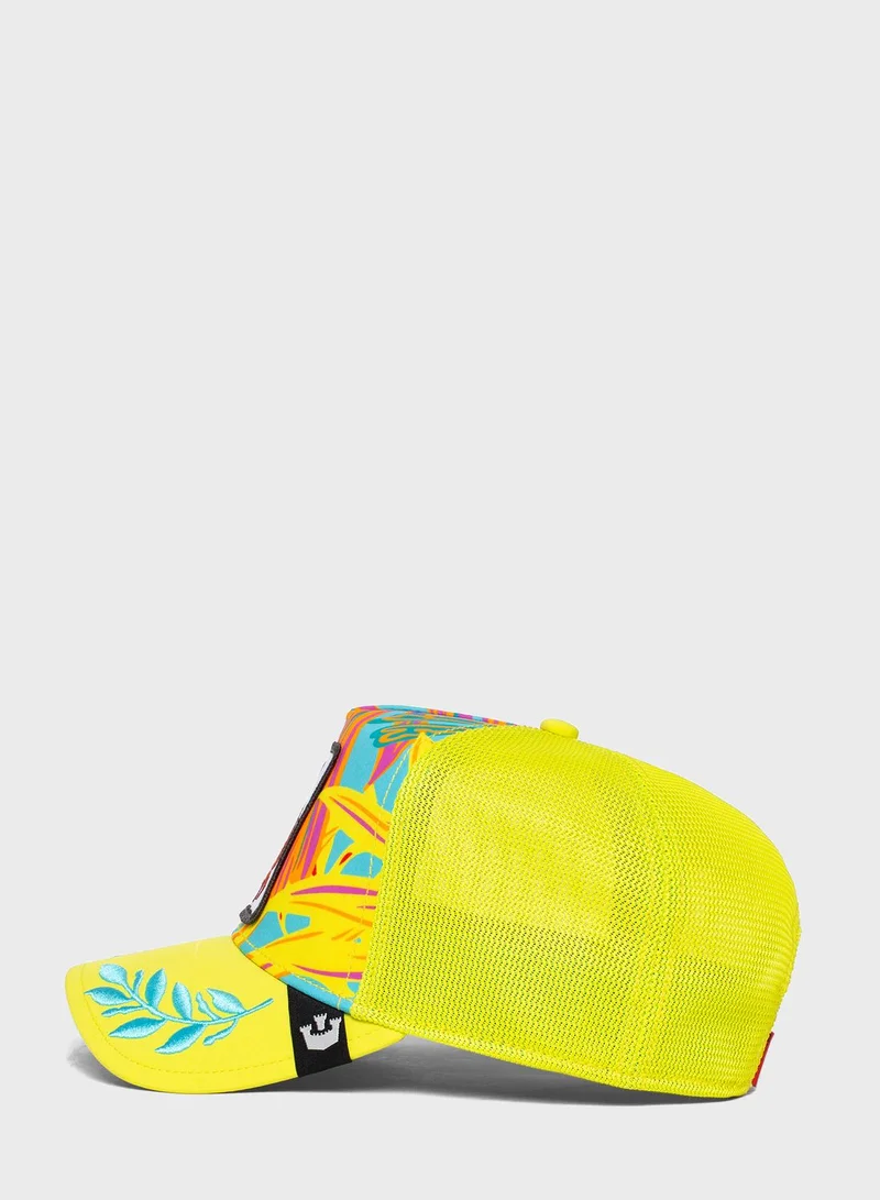 جورين بروس. كاب بحافة منحنية توتالي كلوسم