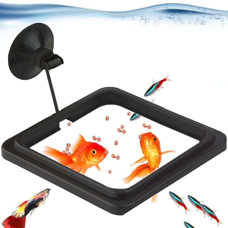 SunGrow Fish Food Feeding Ring, Stop Water Turbulence from Washing Food & Floating Plants into Filter, Suitable for Flakes & Floating Fish Pellets, for Goldfish, Guppy, Neon Tetra, Betta, 1 Piece - Image 2