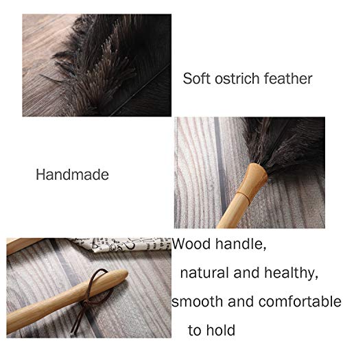 Ddzmz Feather Duster, Ostrich Feather Duster Ddzmz Fluffy Natural Genuine Ostrich Feathers and Reusable Wooden Long Handle Large Ostrich Feather Duster Cleaning for Housewife Black Length 16" 1Pack - Image 5