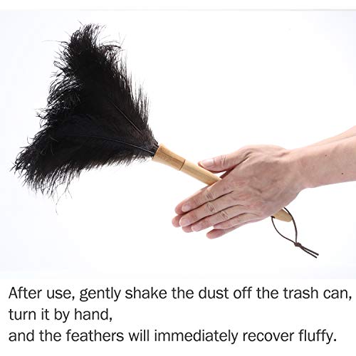 Ddzmz Feather Duster, Ostrich Feather Duster Ddzmz Fluffy Natural Genuine Ostrich Feathers and Reusable Wooden Long Handle Large Ostrich Feather Duster Cleaning for Housewife Black Length 16" 1Pack - Image 3