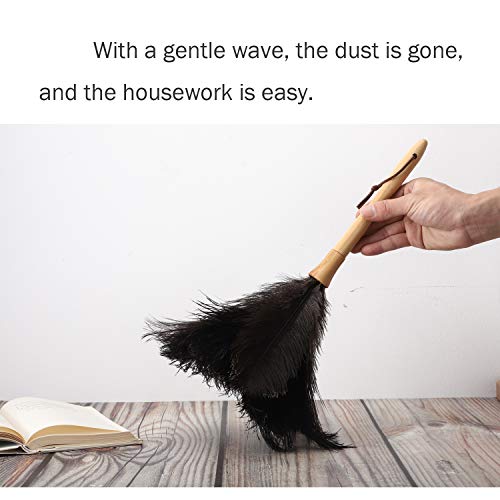 Ddzmz Feather Duster, Ostrich Feather Duster Ddzmz Fluffy Natural Genuine Ostrich Feathers and Reusable Wooden Long Handle Large Ostrich Feather Duster Cleaning for Housewife Black Length 16" 1Pack - Image 4