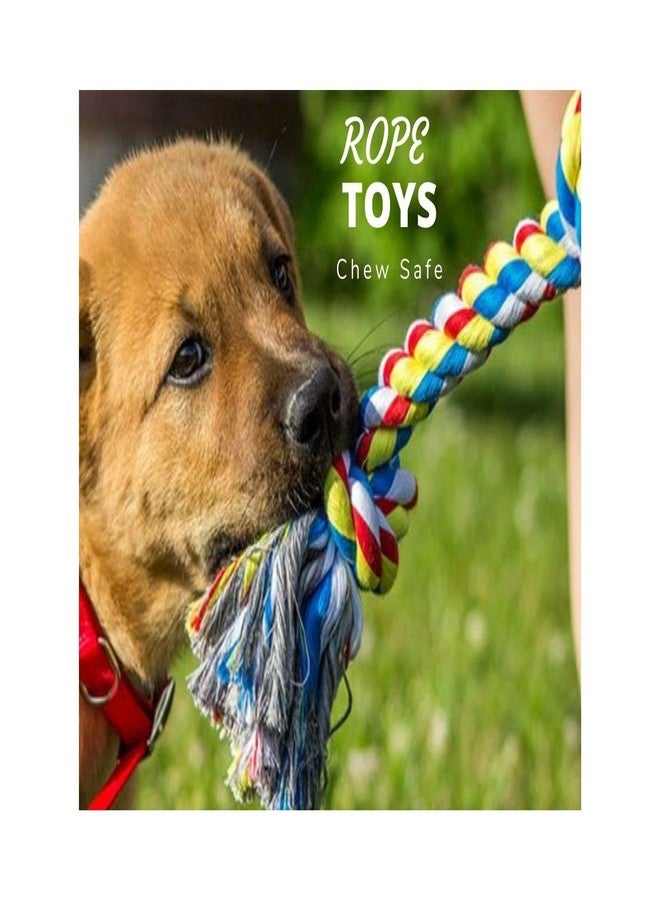 PawCloud لعبة مضغ قطنية للكلاب من باو كلاود، مقاس كبير 10.5 بوصة - متعددة الألوان - Image 4