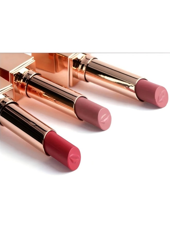 STAGENIUS Long Wear Matte Silky  Moisturizing  Lipstick #09 COPPER RUST - Image 2