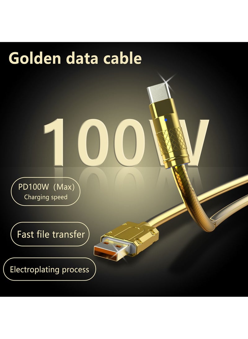 Astralxipher 2M USB to Type-C Fast Charging Cable 100W | Gold Snake Pattern Braided | 5A High Current | PD Quick Charge & Data Sync - Image 4