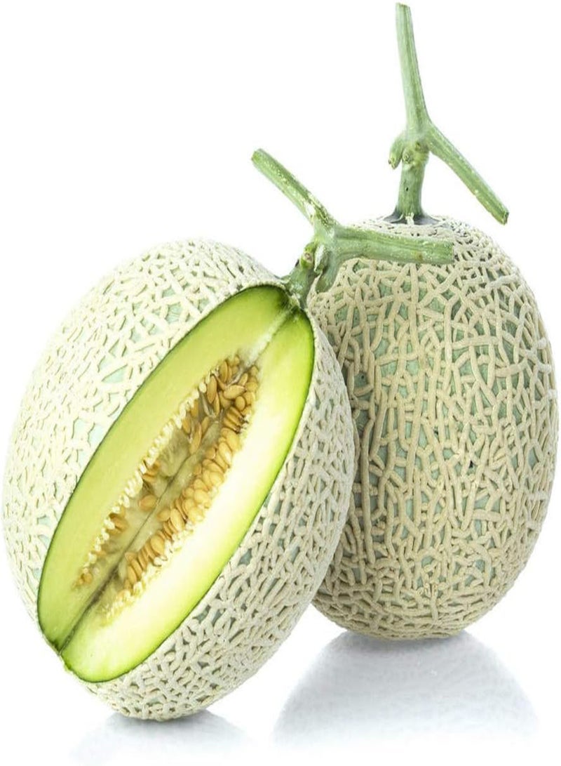 GGOOT 30Pcs Cantaloupe Seeds Rare Fruit Variety Green Rough Skin Sweet Flesh Annual Vines Fast Growing Strong Adaptability Harvest Fresh Fruit - Image 1
