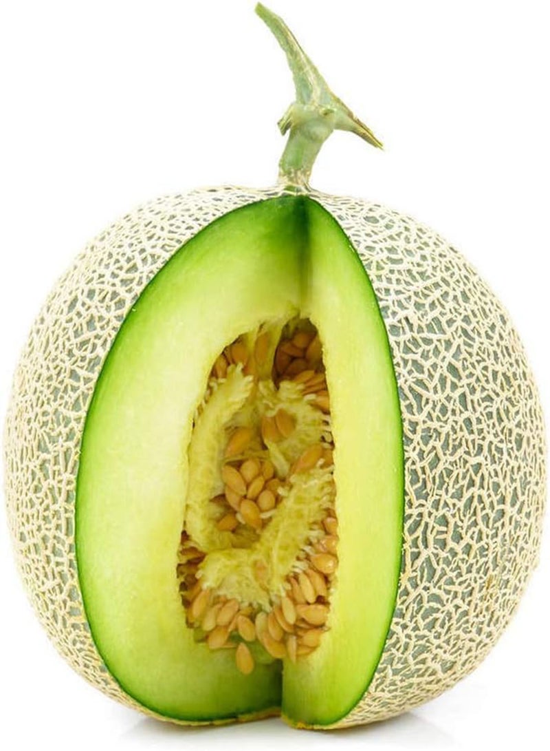 GGOOT 30Pcs Cantaloupe Seeds Rare Fruit Variety Green Rough Skin Sweet Flesh Annual Vines Fast Growing Strong Adaptability Harvest Fresh Fruit - Image 2