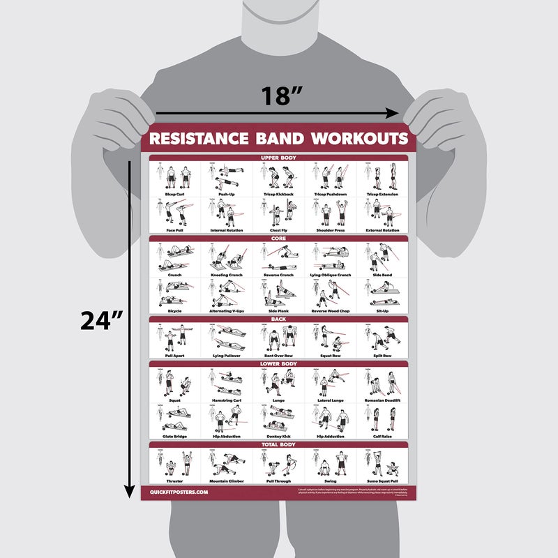 Palace Learning QUICKFIT Resistance Bands Workout Exercise Poster - Double Sided (Laminated, 18" x 24") - Image 2