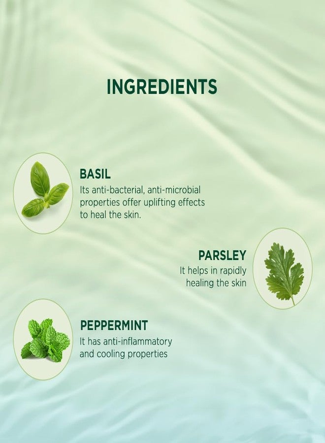 Biotique Basil & Parsley Revitalizing Body Wash 300ml - Image 4