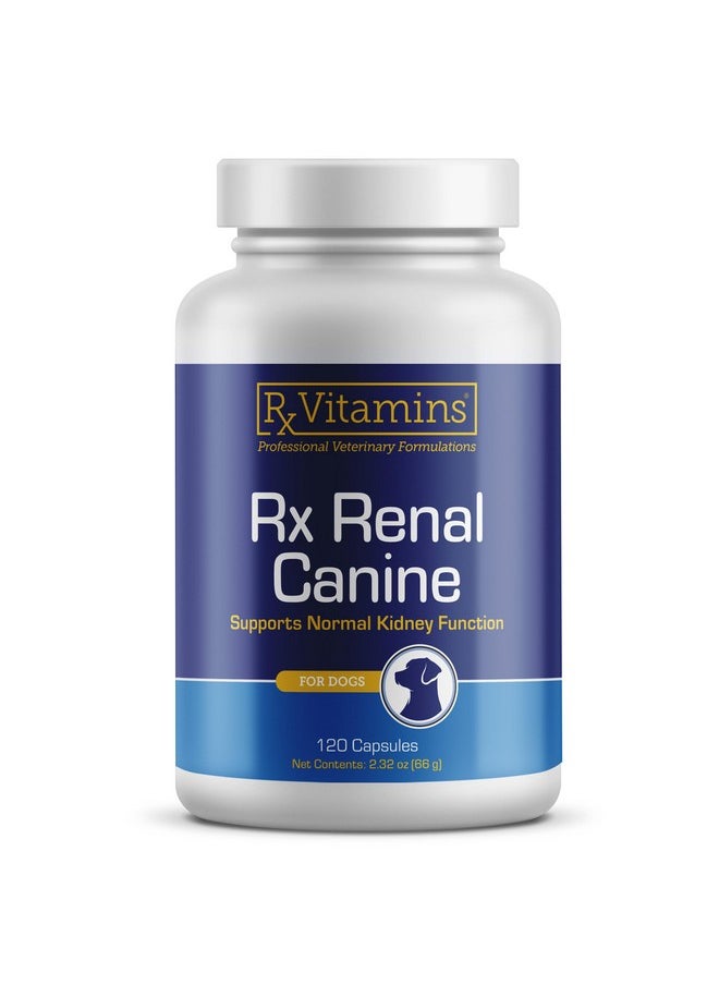 Rx Vitamins Rx Renal Canine Kidney Support For Dogs  Milk Thistle Extract, Green Tea, & Cordyceps Capsules For Dogs  Dog Kidney Support Supplement  120 Ct  - Image 1