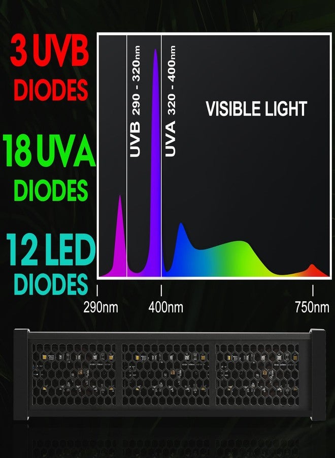 GeeKoit 12-Inch UVB Reptile Light,4H/8H/12H Timer,3 Modes Lighting,5 Level Brightness, 12W UVA UVB Lamp for Desert Tropical Animals Bearded Dragons Turtle Chameleon Tortoises Gecko Snake Frog - Image 3