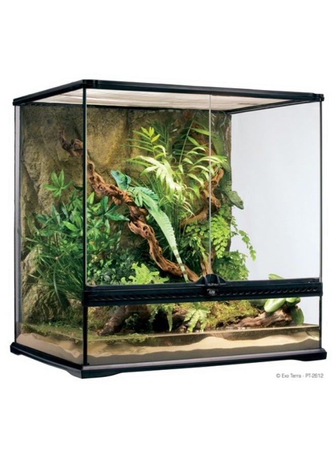 Exo Terra Exo Terra Natural Terrarium Medium And Tall 60 x 45 x 60cm  - Image 1