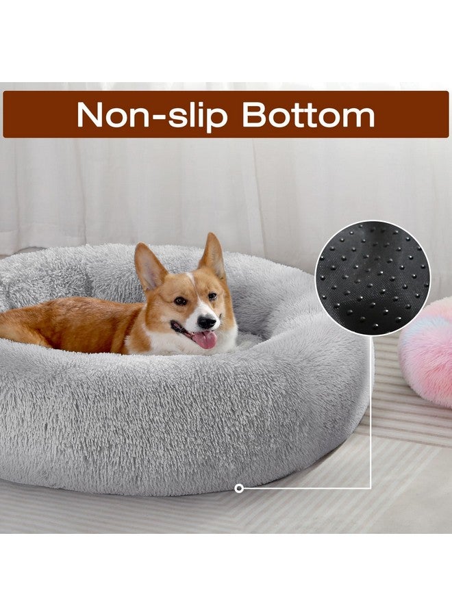 جولي فوغ سرير جولي فوغ للكلاب والقطط، سرير مهدئ ومضاد للقلق للحيوانات الأليفة الصغيرة، وسادة دونات ناعمة للحيوانات الأليفة الصغيرة والمتوسطة (24 بوصة) - Image 3